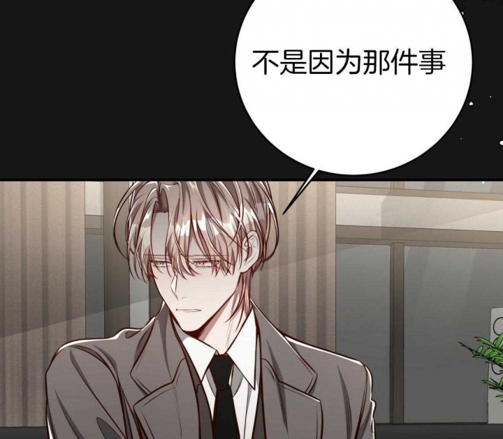 《纽约危情》漫画最新章节第150话免费下拉式在线观看章节第【12】张图片