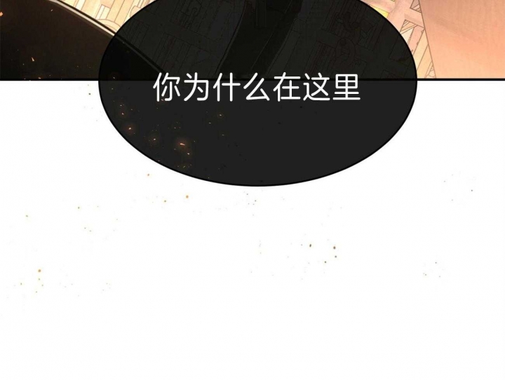 《纽约危情》漫画最新章节第88话免费下拉式在线观看章节第【56】张图片