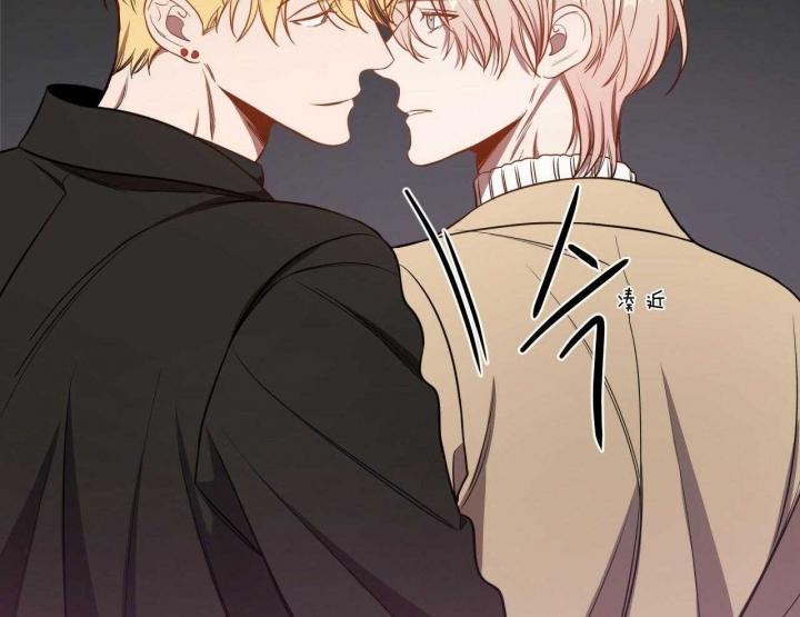 《纽约危情》漫画最新章节第74话免费下拉式在线观看章节第【71】张图片