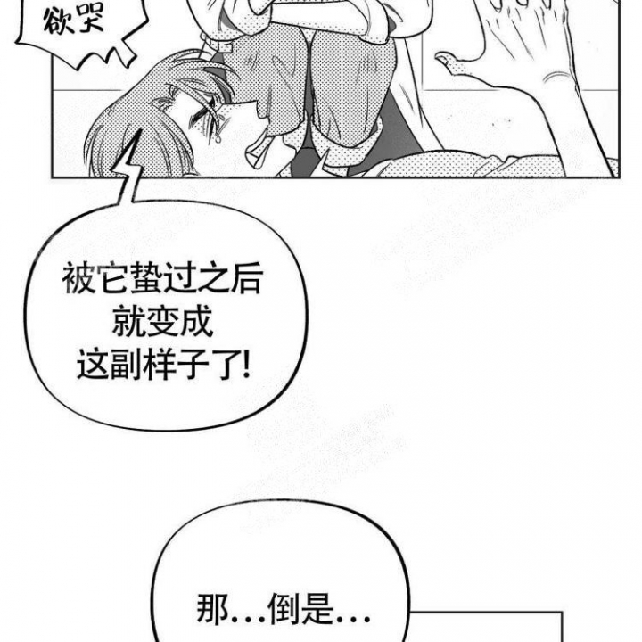 《本能效应》漫画最新章节第5话免费下拉式在线观看章节第【20】张图片