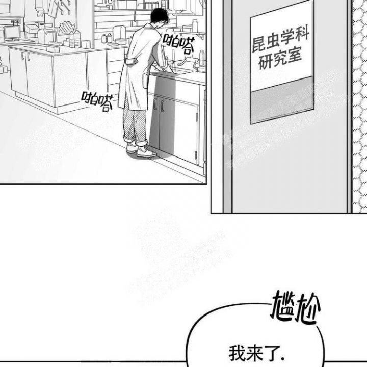 《本能效应》漫画最新章节第4话免费下拉式在线观看章节第【6】张图片