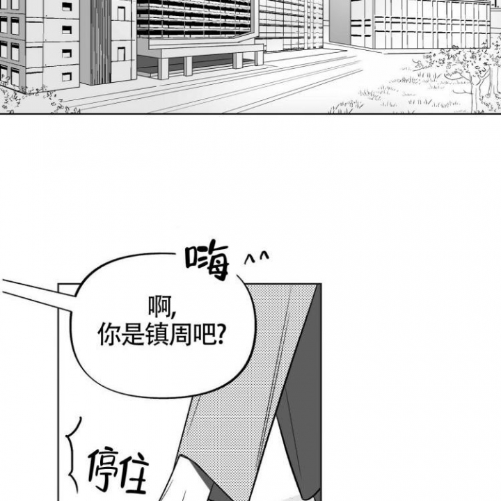 《本能效应》漫画最新章节第2话免费下拉式在线观看章节第【33】张图片