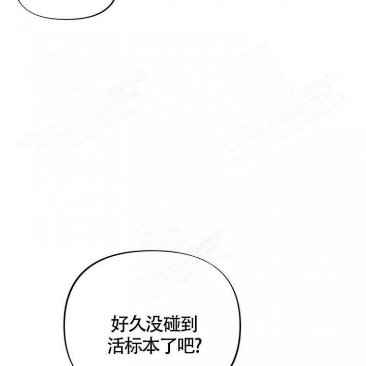 《本能效应》漫画最新章节第4话免费下拉式在线观看章节第【14】张图片