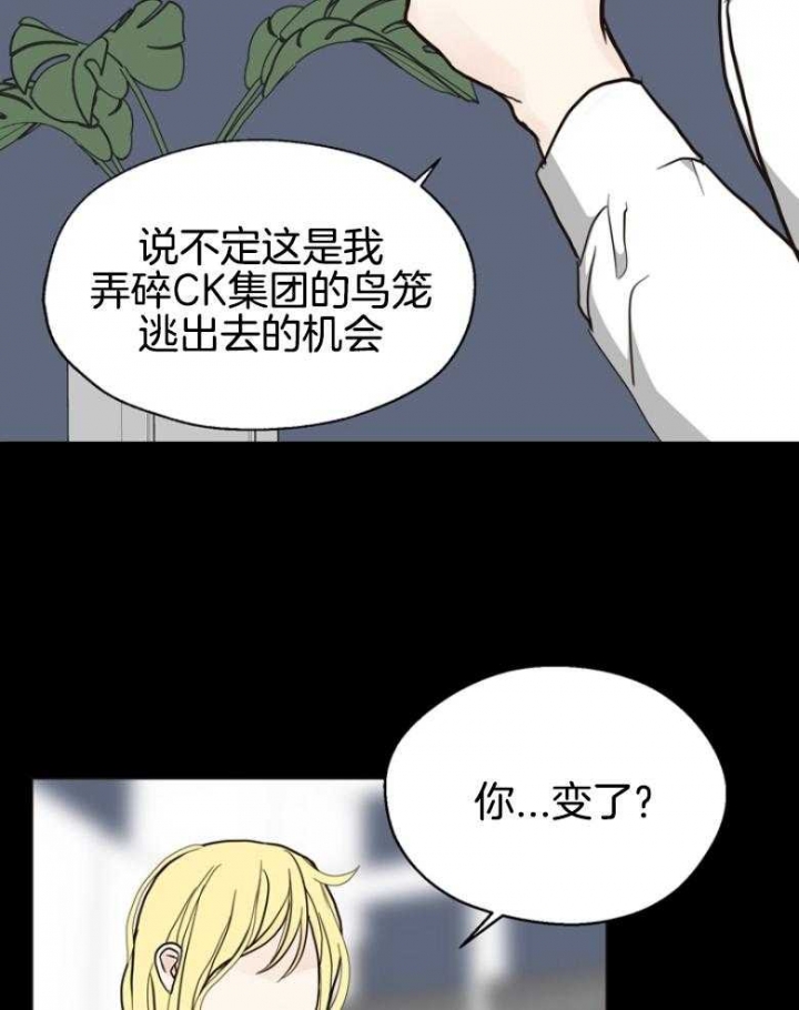 《赴夜（两季）》漫画最新章节第141话免费下拉式在线观看章节第【29】张图片