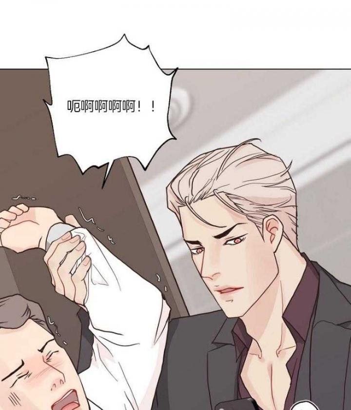 《赴夜（两季）》漫画最新章节第128话免费下拉式在线观看章节第【37】张图片