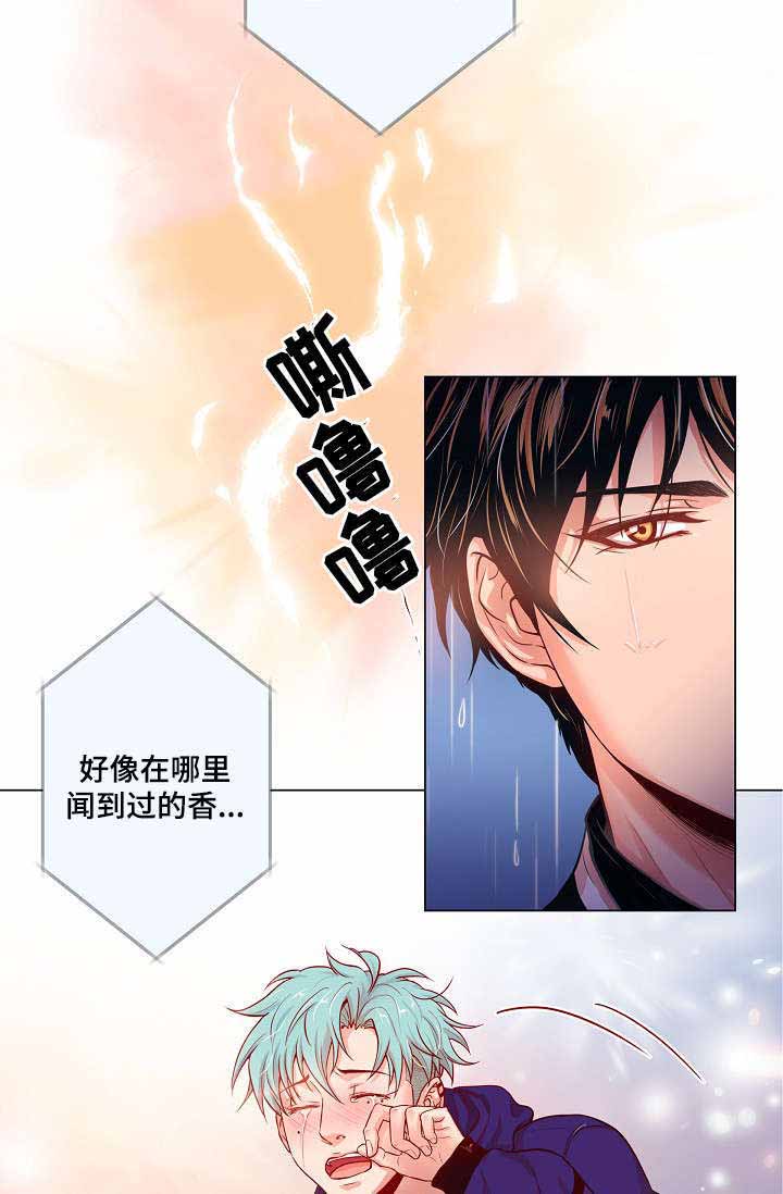 《幻象爱恋》漫画最新章节第8话免费下拉式在线观看章节第【15】张图片