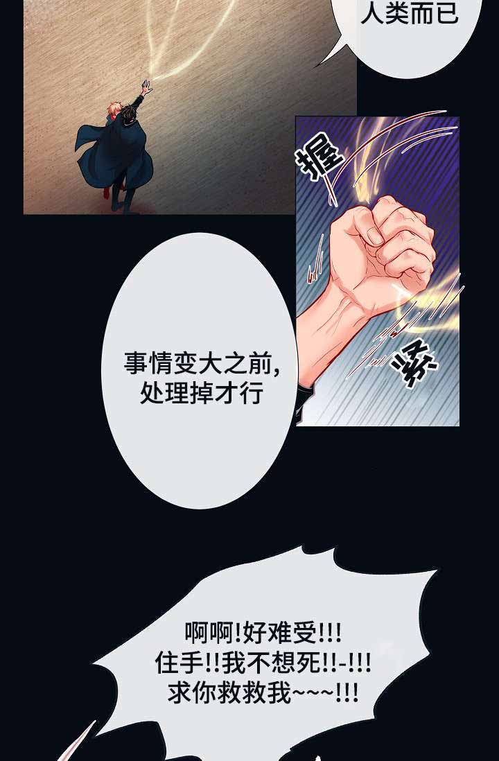 《幻象爱恋》漫画最新章节第17话免费下拉式在线观看章节第【25】张图片