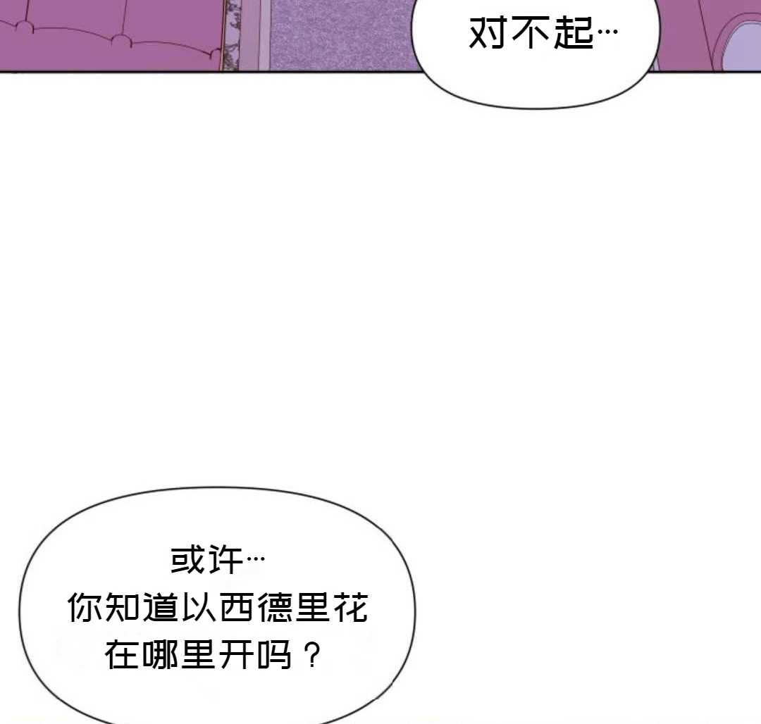 《成为颓废小说主人公的夫人》漫画最新章节第2话免费下拉式在线观看章节第【45】张图片