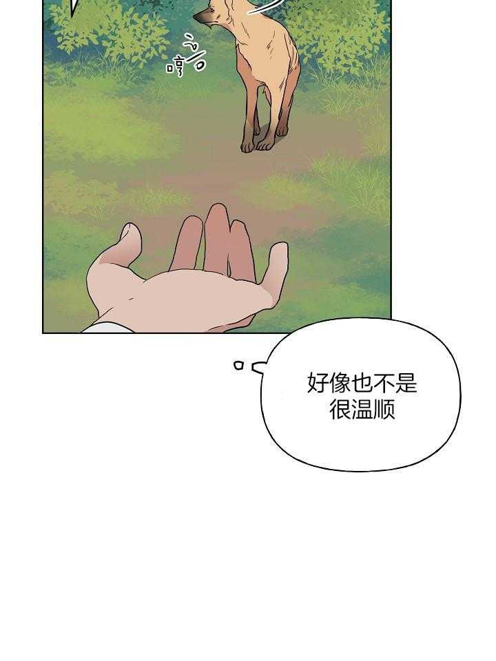 《出逃少爷奇遇记》漫画最新章节第70话免费下拉式在线观看章节第【39】张图片