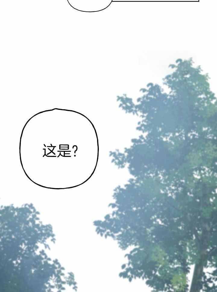 《出逃少爷奇遇记》漫画最新章节第79话免费下拉式在线观看章节第【25】张图片