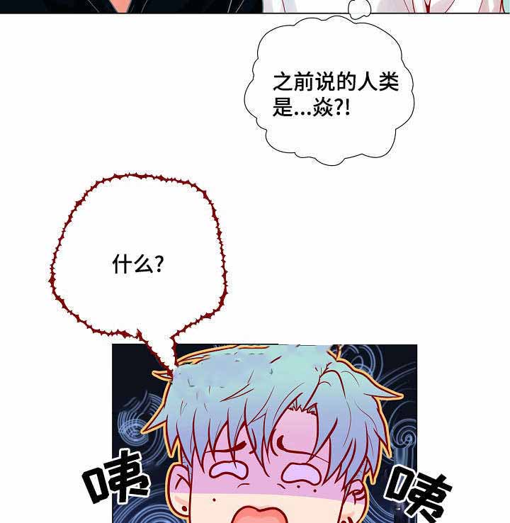 《幻象爱恋》漫画最新章节第11话免费下拉式在线观看章节第【15】张图片