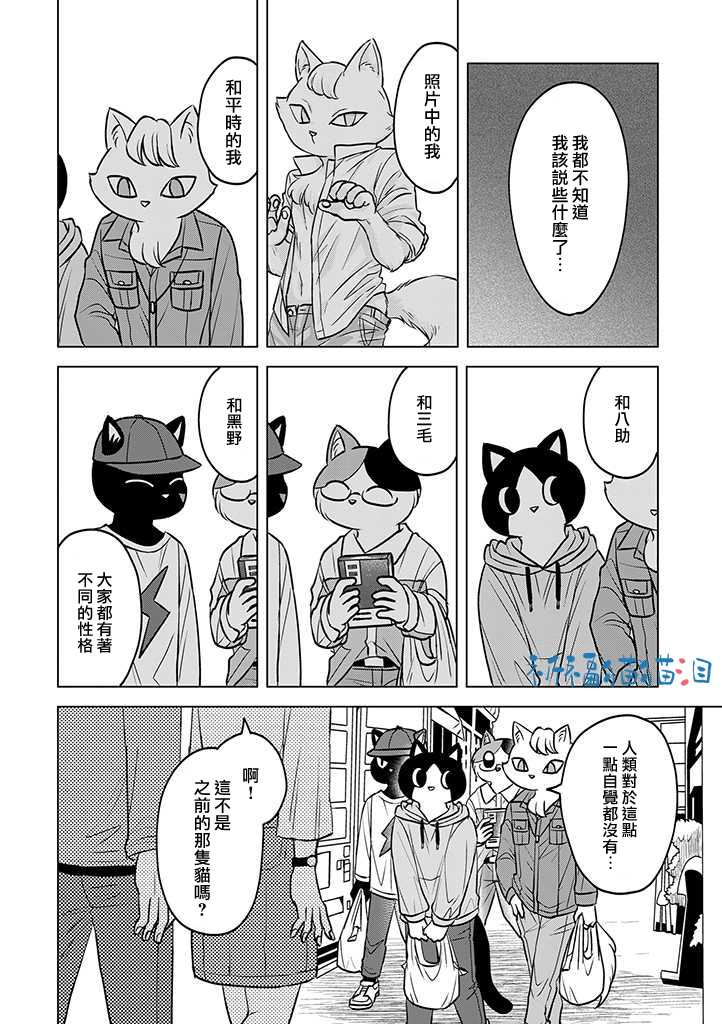 《猫人类》漫画最新章节第7话免费下拉式在线观看章节第【14】张图片