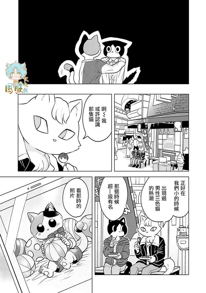 《猫人类》漫画最新章节第2话免费下拉式在线观看章节第【7】张图片