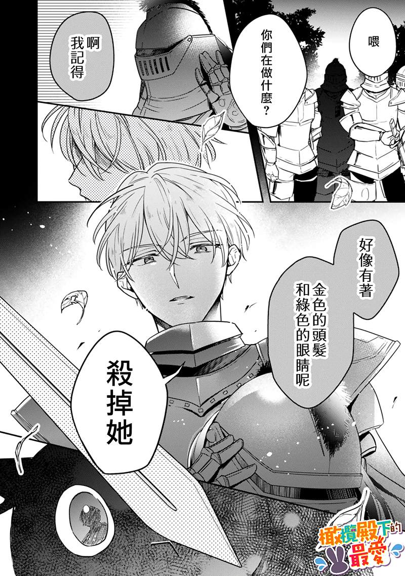 《王弟殿下的最爱》漫画最新章节第1话免费下拉式在线观看章节第【11】张图片