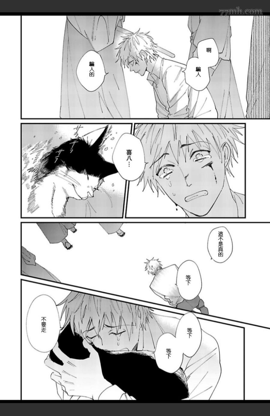 《妖猫说书》漫画最新章节第6话免费下拉式在线观看章节第【16】张图片