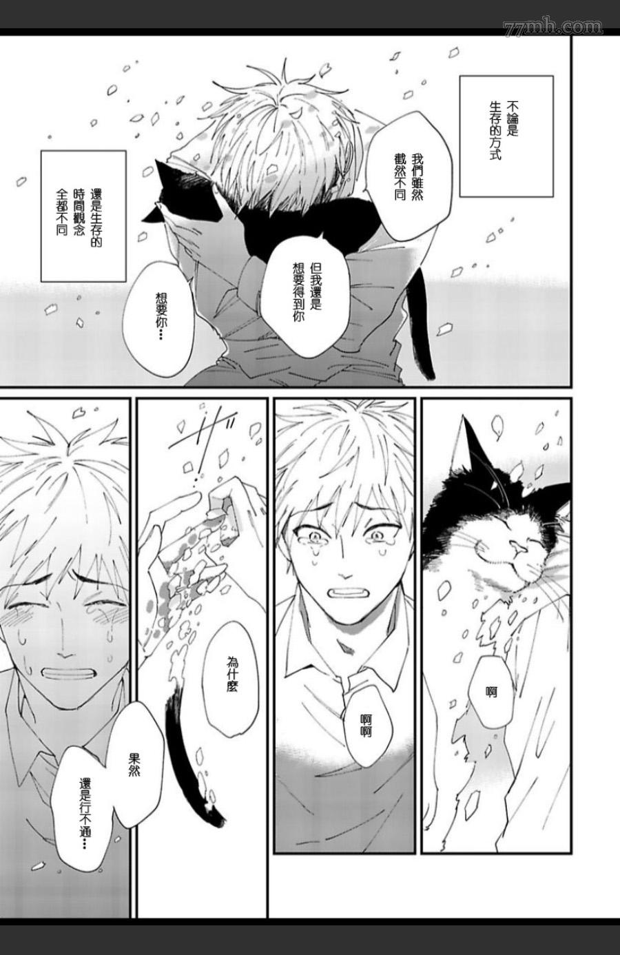 《妖猫说书》漫画最新章节第6话免费下拉式在线观看章节第【17】张图片