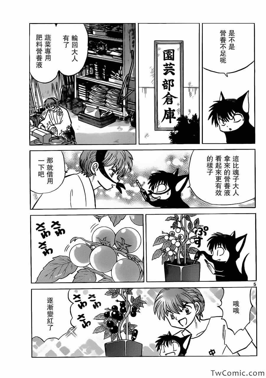 《境界的轮回》漫画最新章节第198话免费下拉式在线观看章节第【5】张图片