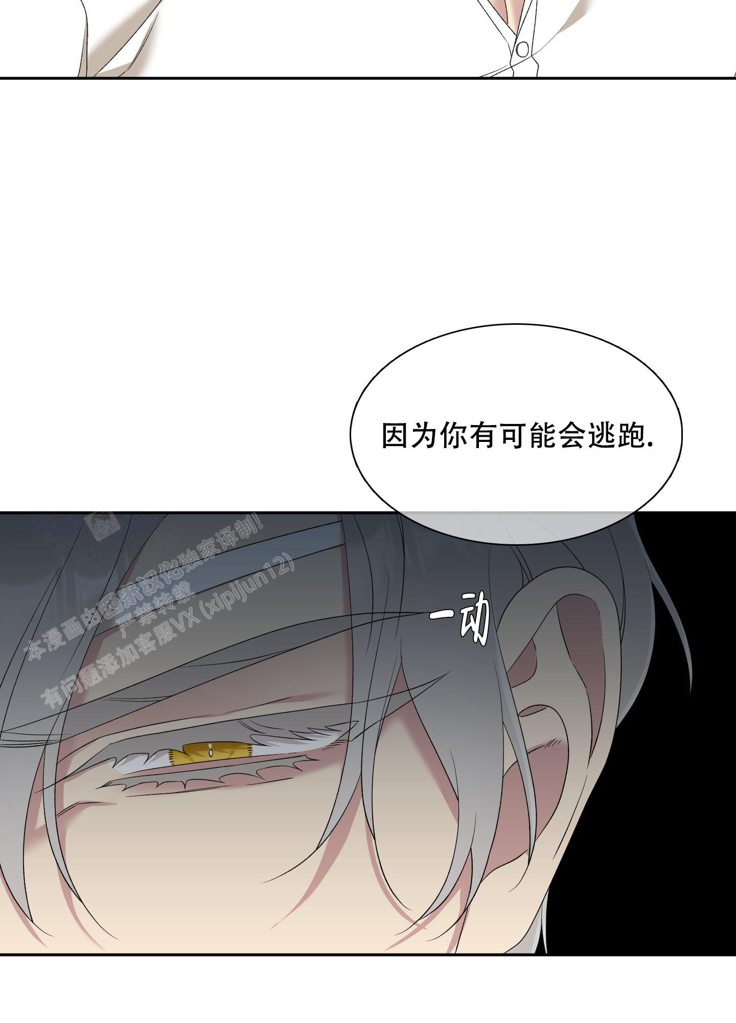 《帝国血脉》漫画最新章节第35话免费下拉式在线观看章节第【29】张图片