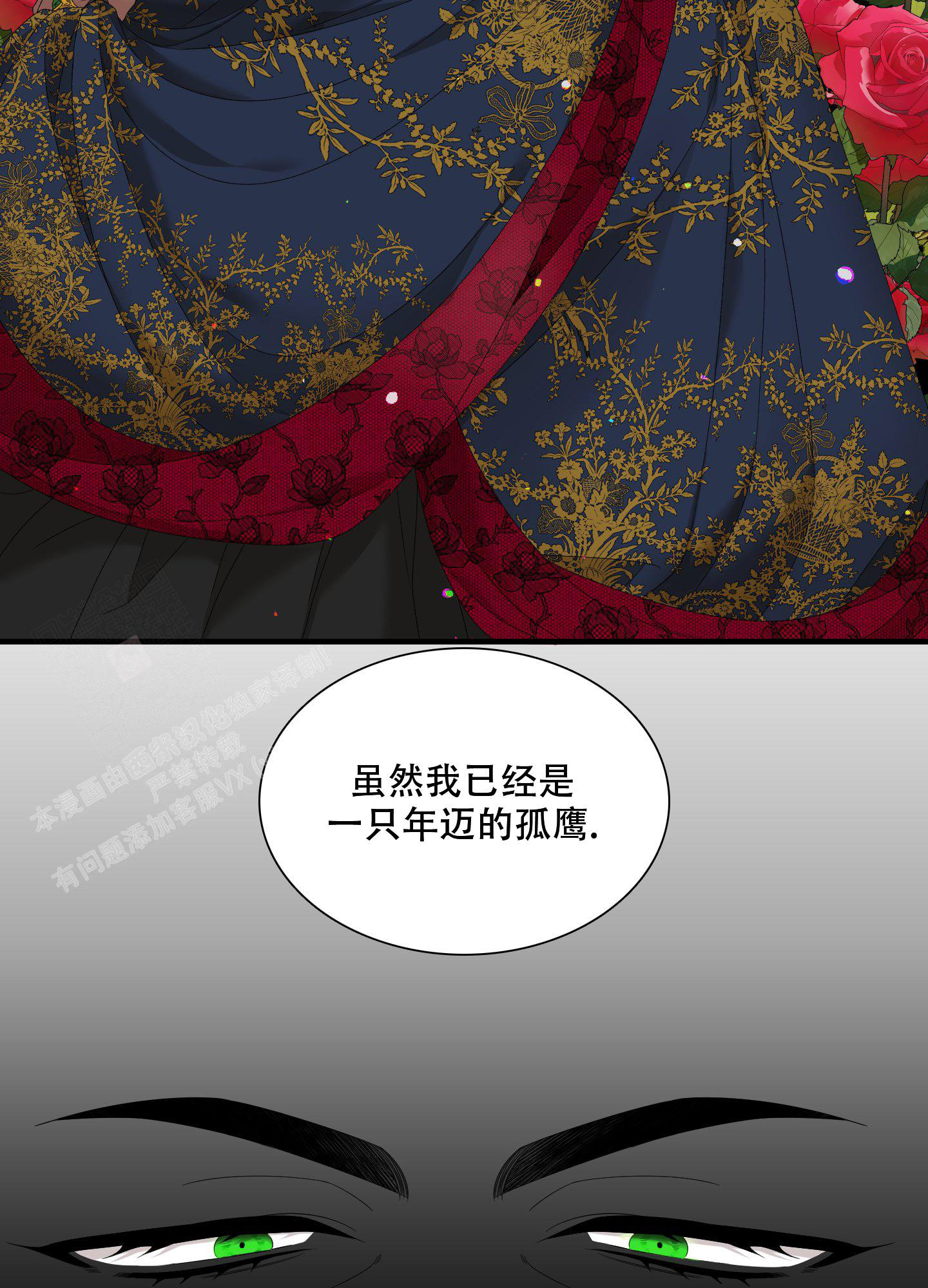 《帝国血脉》漫画最新章节第59话免费下拉式在线观看章节第【32】张图片