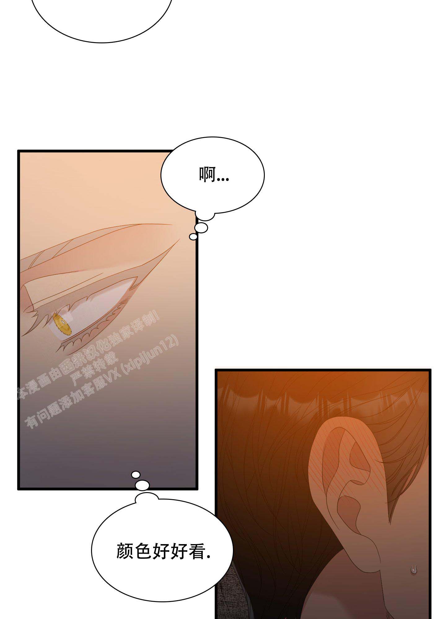 《帝国血脉》漫画最新章节第56话免费下拉式在线观看章节第【26】张图片