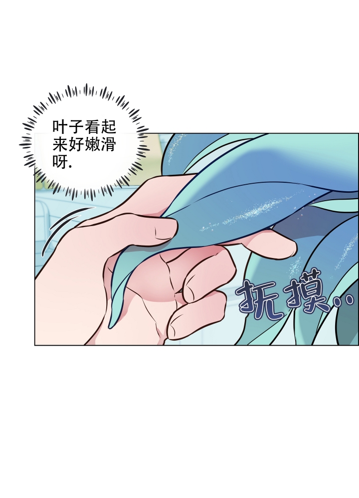 《植物疗法》漫画最新章节第2话免费下拉式在线观看章节第【21】张图片