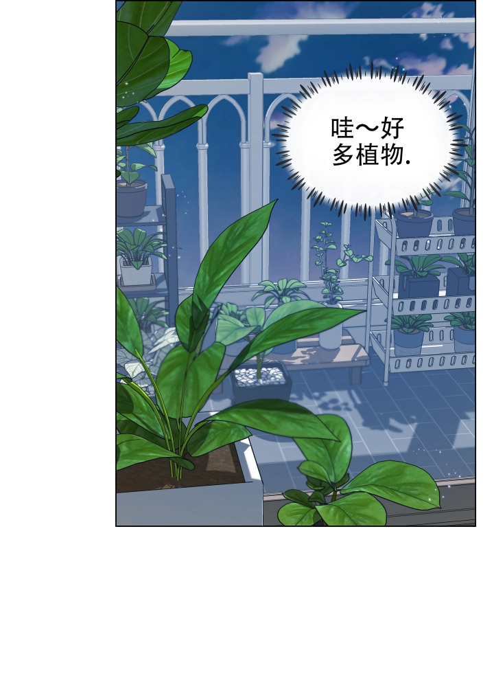 《植物疗法》漫画最新章节第2话免费下拉式在线观看章节第【12】张图片