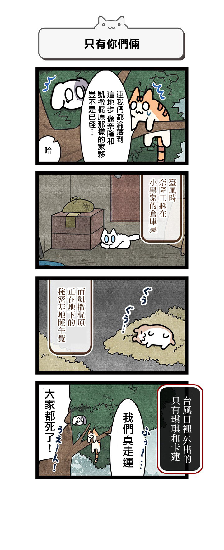 《地球的主人是猫喵》漫画最新章节第11话免费下拉式在线观看章节第【6】张图片