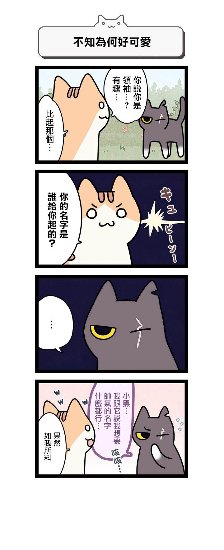 《地球的主人是猫喵》漫画最新章节第5.5话免费下拉式在线观看章节第【4】张图片