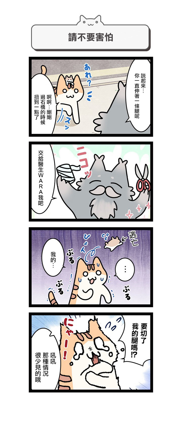 《地球的主人是猫喵》漫画最新章节第9话免费下拉式在线观看章节第【9】张图片