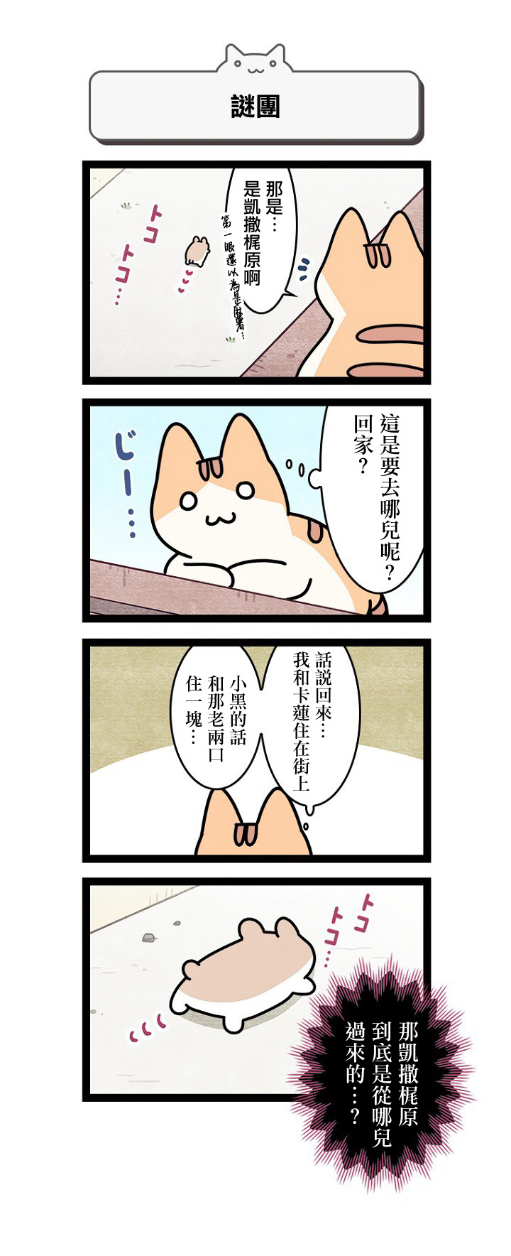 《地球的主人是猫喵》漫画最新章节第11.5话免费下拉式在线观看章节第【2】张图片