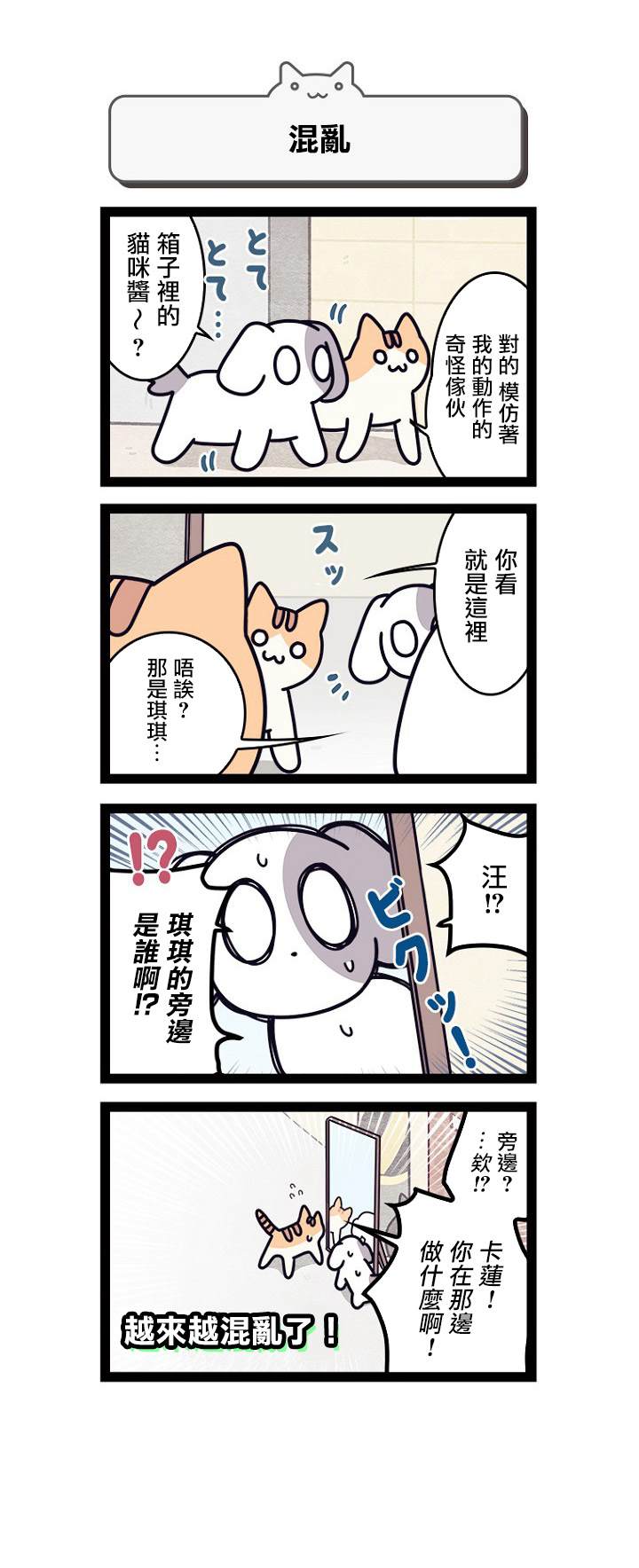 《地球的主人是猫喵》漫画最新章节第5话免费下拉式在线观看章节第【5】张图片