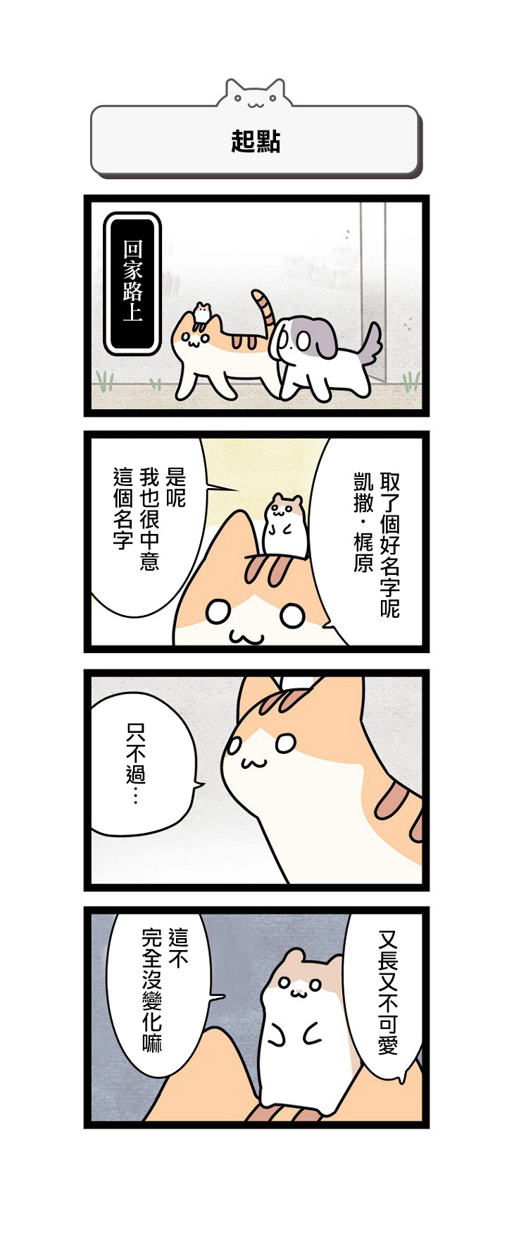 《地球的主人是猫喵》漫画最新章节第1.5话免费下拉式在线观看章节第【10】张图片