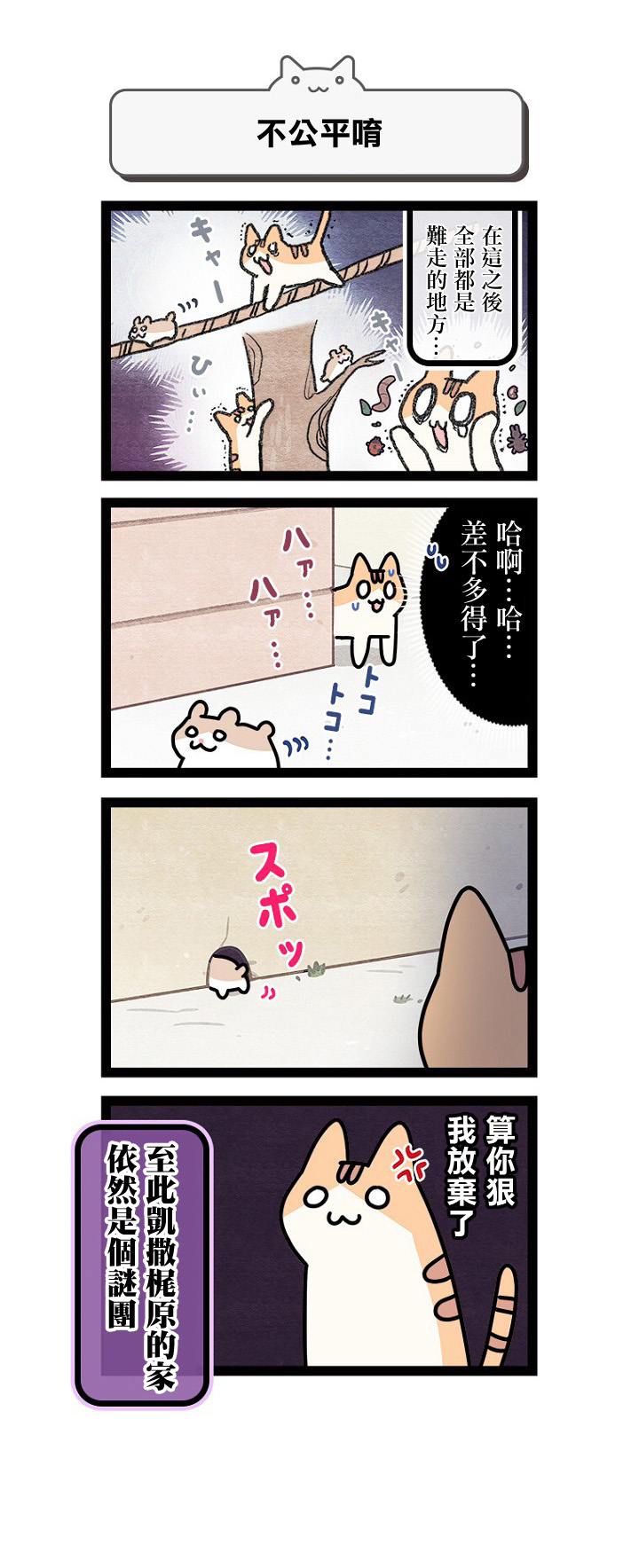 《地球的主人是猫喵》漫画最新章节第11.5话免费下拉式在线观看章节第【5】张图片