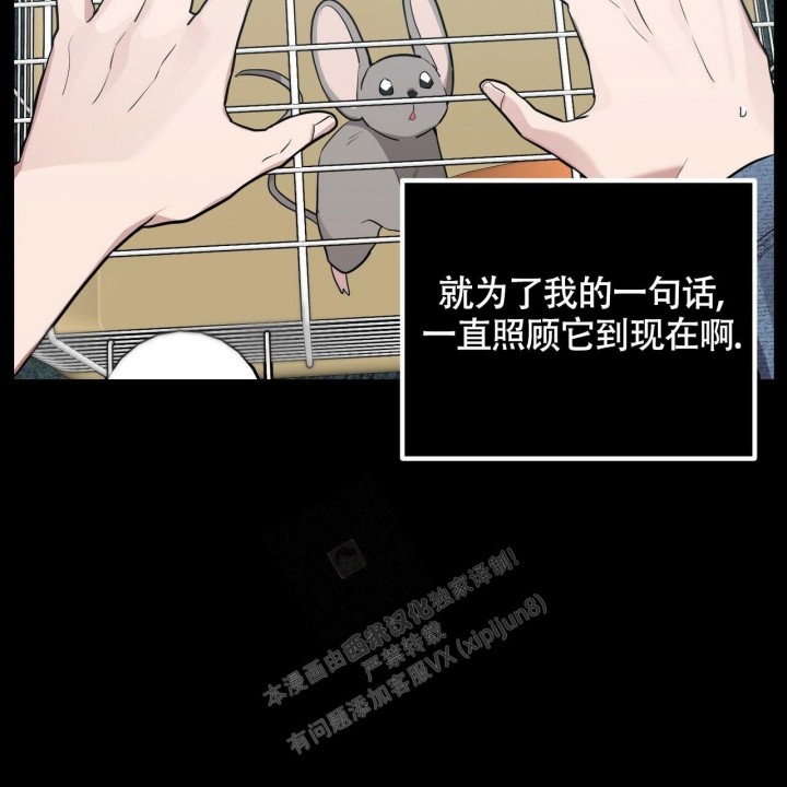 《坏蛋警告(I+II季)》漫画最新章节第21话免费下拉式在线观看章节第【81】张图片