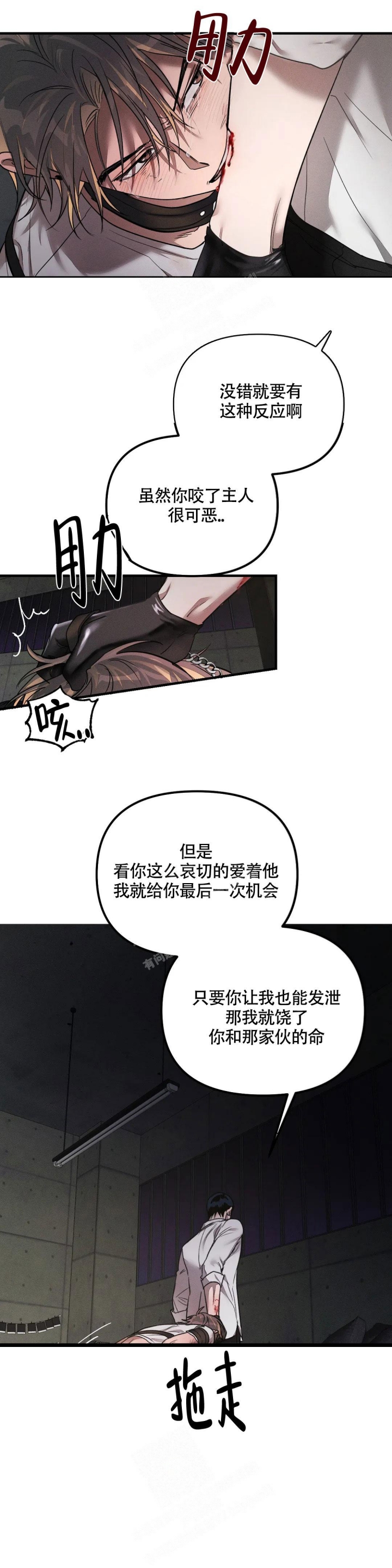 《服从游戏》漫画最新章节第5话免费下拉式在线观看章节第【8】张图片