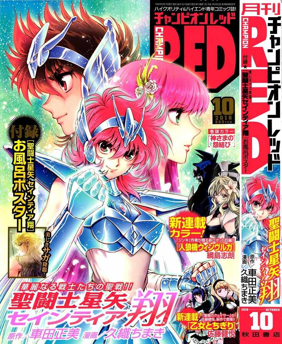 《圣斗士星矢 圣斗少女翔》漫画最新章节第37话免费下拉式在线观看章节第【32】张图片