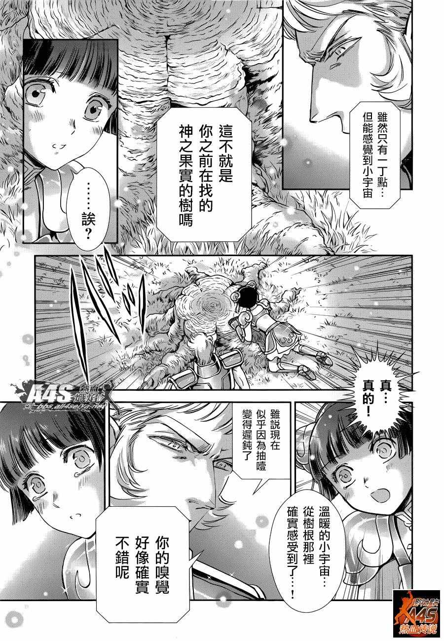 《圣斗士星矢 圣斗少女翔》漫画最新章节第41话 彗星雷帕鲁斯免费下拉式在线观看章节第【10】张图片