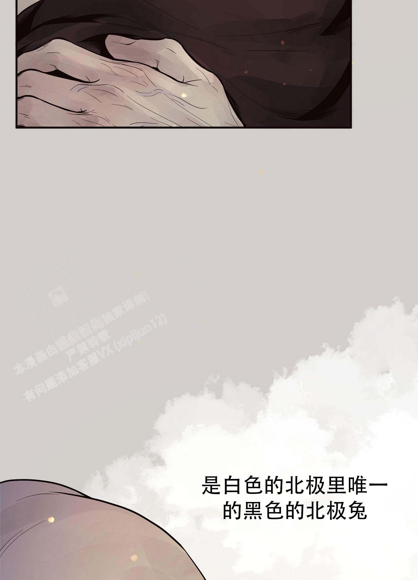 《北极兔》漫画最新章节第8话免费下拉式在线观看章节第【22】张图片