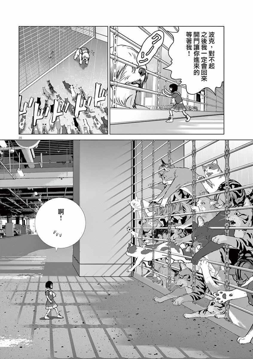 《梦游仙境》漫画最新章节第9话免费下拉式在线观看章节第【17】张图片