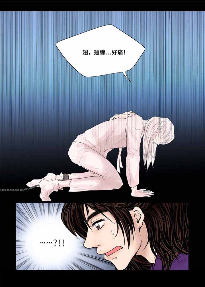 《人形图》漫画最新章节第34话免费下拉式在线观看章节第【31】张图片