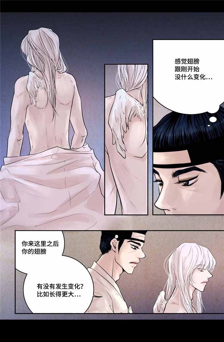 《人形图》漫画最新章节第13话免费下拉式在线观看章节第【17】张图片