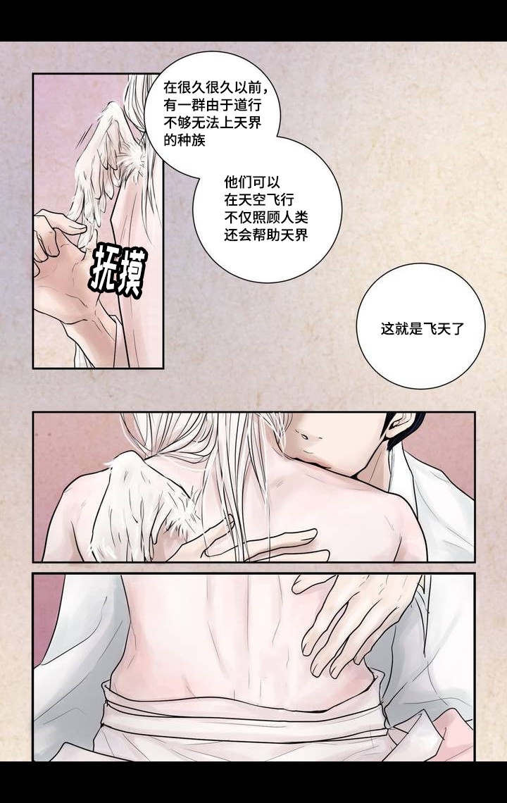 《人形图》漫画最新章节第4话免费下拉式在线观看章节第【11】张图片