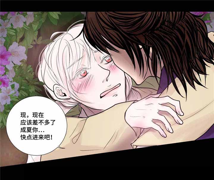 《人形图》漫画最新章节第31话免费下拉式在线观看章节第【31】张图片