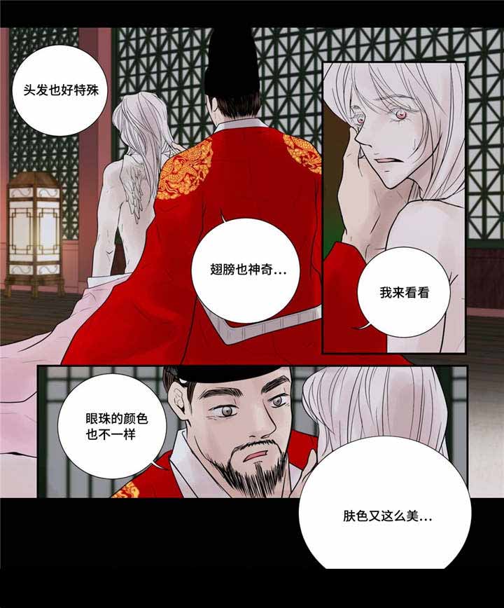 《人形图》漫画最新章节第50话免费下拉式在线观看章节第【23】张图片