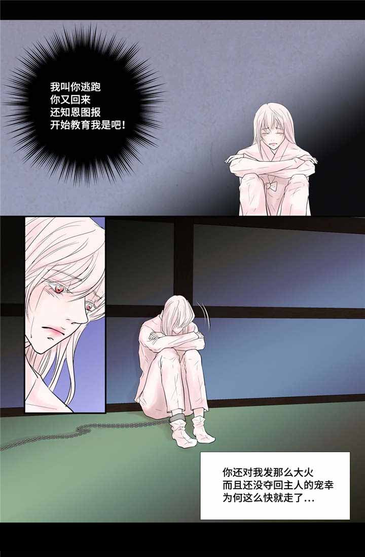 《人形图》漫画最新章节第37话免费下拉式在线观看章节第【7】张图片