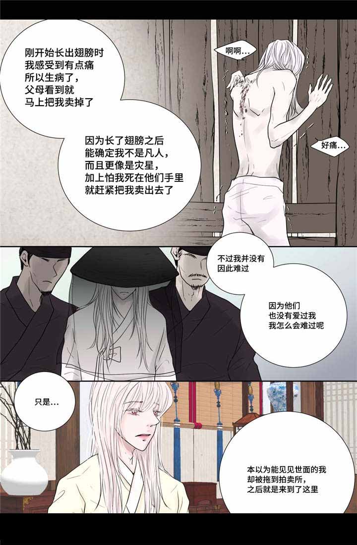 《人形图》漫画最新章节第17话免费下拉式在线观看章节第【3】张图片