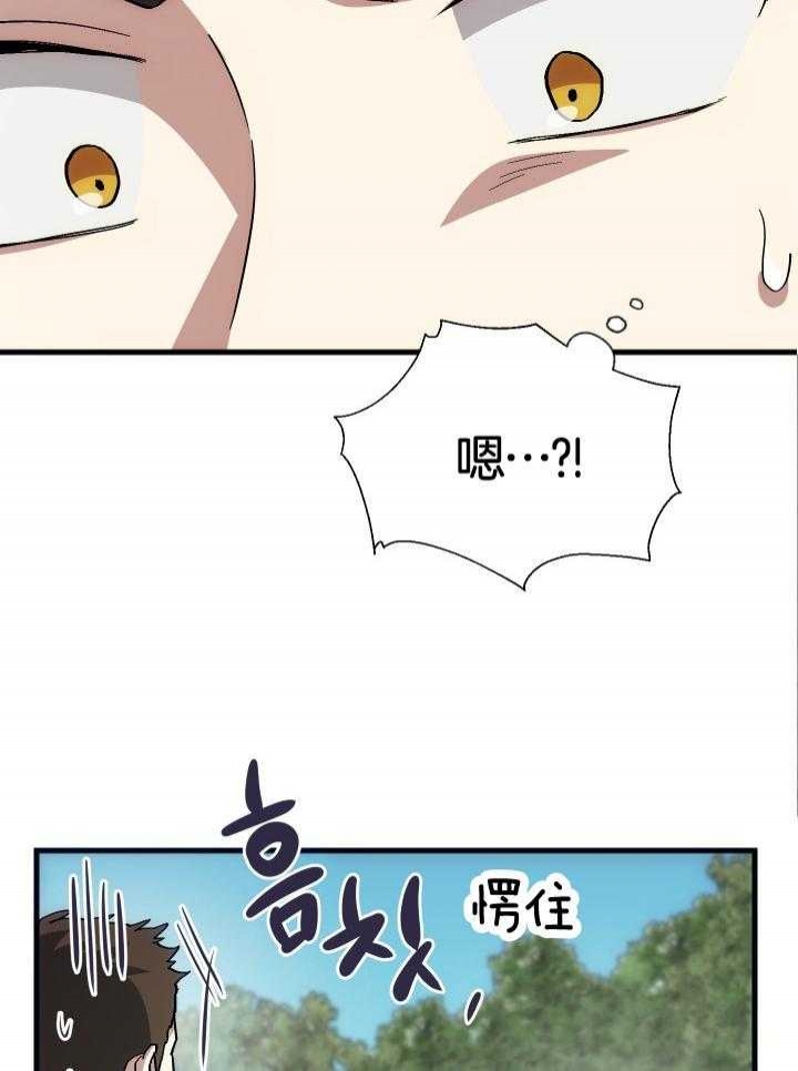 《菜鸟养成记》漫画最新章节第37话免费下拉式在线观看章节第【24】张图片