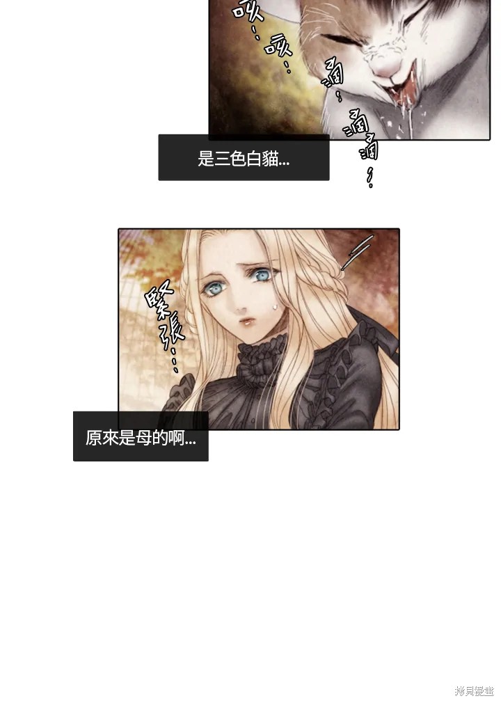 《19世纪末备忘录》漫画最新章节第19话免费下拉式在线观看章节第【36】张图片