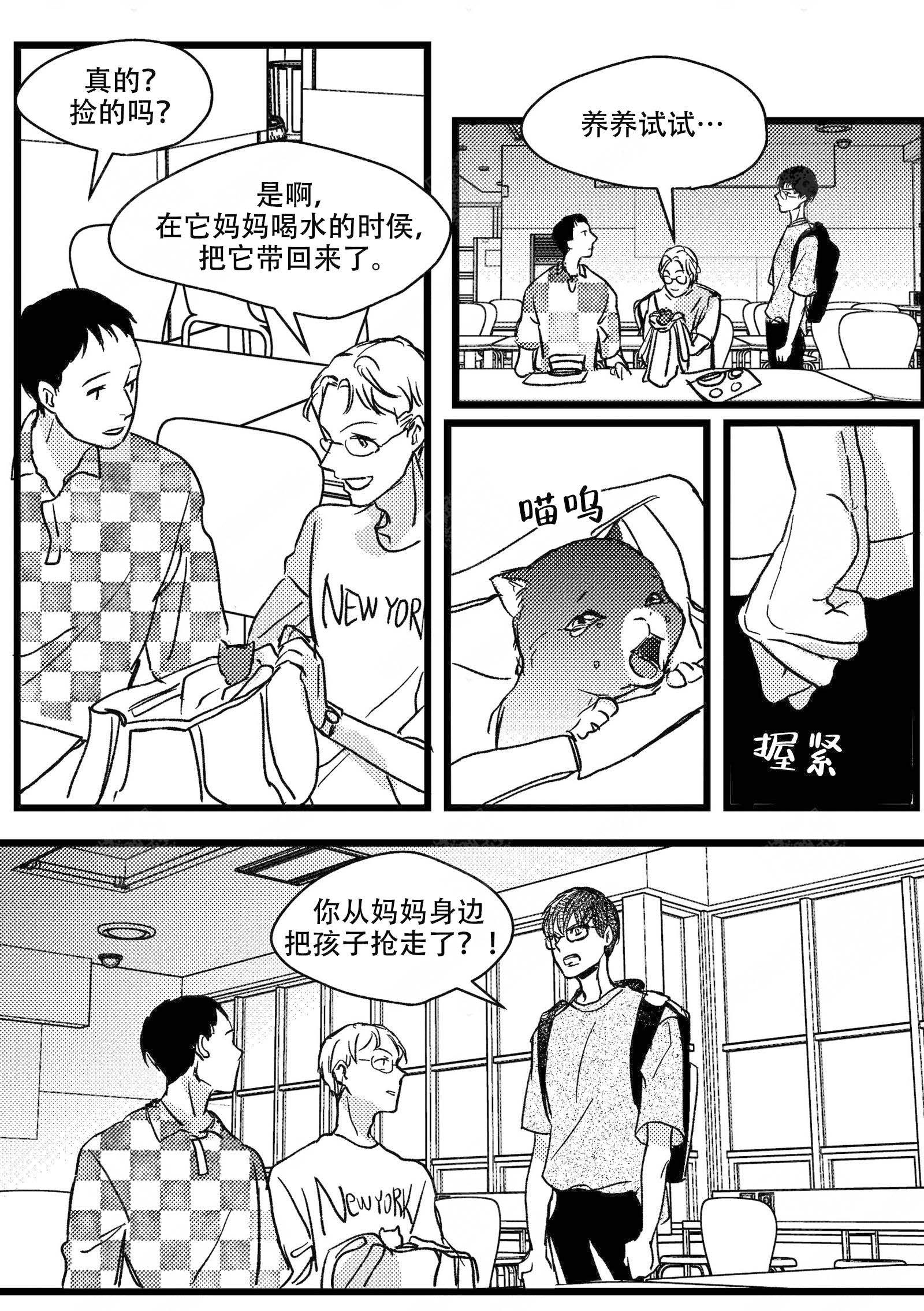 《狼的糖果》漫画最新章节第11话免费下拉式在线观看章节第【8】张图片