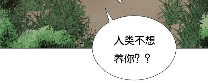 《旷野之息》漫画最新章节第48话免费下拉式在线观看章节第【113】张图片